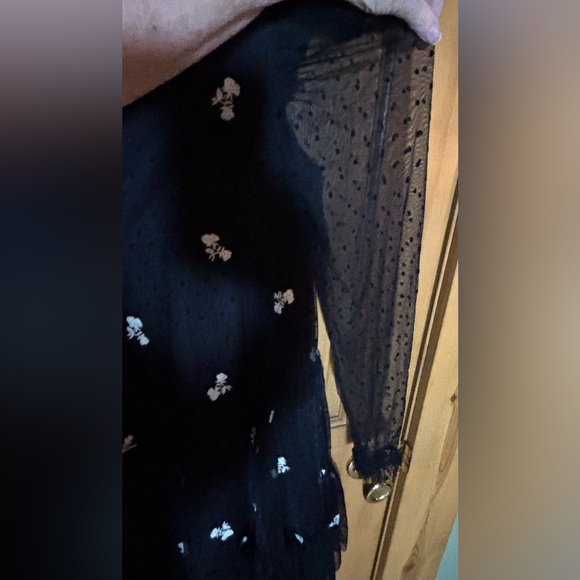 Zara Kids Girl Embroidered Tulle Dress Lined Black Sz 13-14 Sheer Long Sleeve - Picture 6 of 16